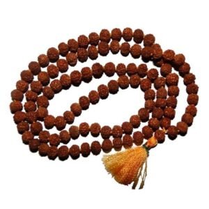 Rudraksha Jap Mala 54+1 Beads