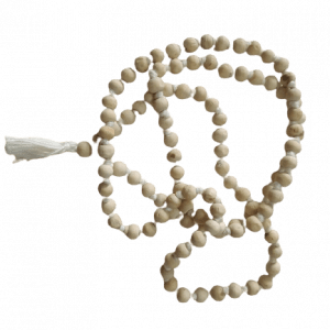 kadamkimala-jyotishshop