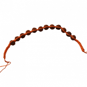rudrakshbracelet-jyotishshop