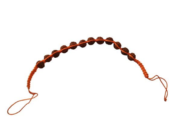 rudrakshbracelet-jyotishshop