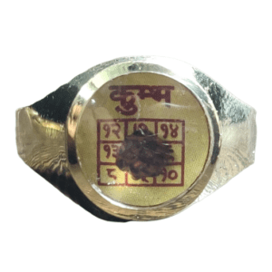 Aquarius (Kumbh-कुम्भ) Rashi(राशि) Yantra(यंत्र) Asthdhatu(अष्टधातु) Ring(रिंग) with Rudraksh(रुद्राक्ष)