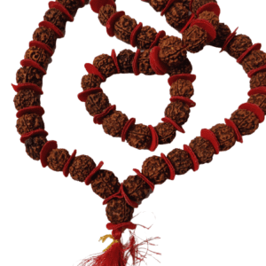 5 Mukhi Rudraksha Mala(5 मुखी रुद्राक्ष माला ) | 54+1 Beads | Bead size- 17 mm