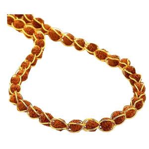 Rudraksha Gold Plated Wire Mala