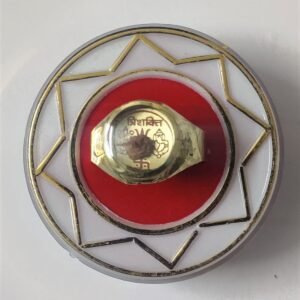 Ashtadhatu(अष्टधातु) High Quality Trishakti(त्रिशक्ति) Ring With Rudraksh(रुद्राक्ष)