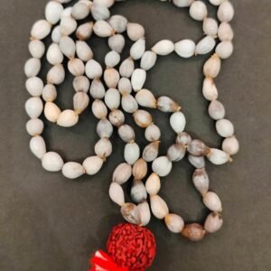Vaijanti Mala(वैजन्ती माला) | 108 Beads