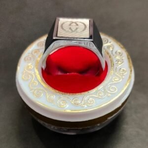 High Quality Stylish Steel Ring-1