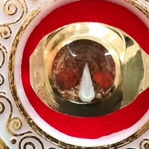 Ashthdhatu Shri Yantra Ring With Shankh And Double Rudraksh(अष्टधातु श्री यन्त्र शंख रुद्राक्ष रिंग)