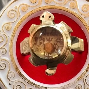 Ashthdhatu Shiv Shakti Meru Ring With Rudraksh(अष्टधातु शिव शक्ति मेरु रिंग)