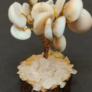 Good Luck Gomti Chakra Tree(गुड लक गोमती चक्र ट्री) | 15 Beads