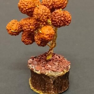 Good Luck Rudraksha Tree(गुड लक रुद्राक्ष ट्री) | 15 Beads