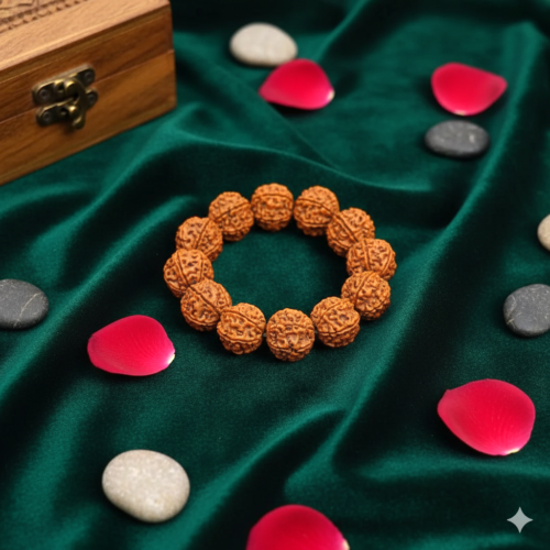 Big Size Beads 6 Mukhi Rudraksha Bracelet(6 मुखी रुद्राक्ष ब्रेसलेट)