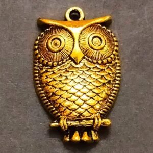 Owl Money Locket In Brass, Size-30 mm