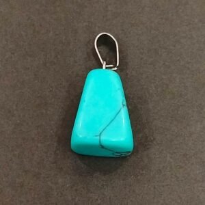 Natural Tortoise Stone Locket