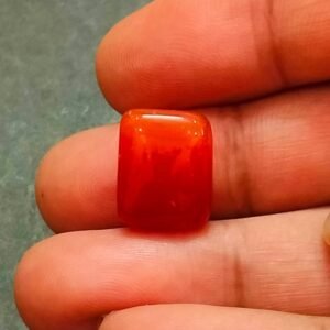 Hakik Stone (हकीक स्टोन) , Weight-13.14 carat